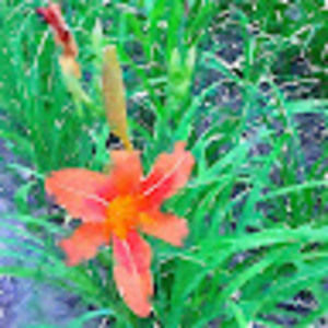 Meet your Posher, Karen